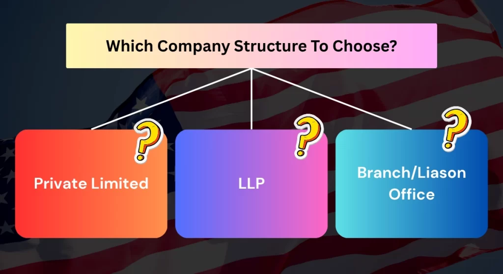 Which Company Structure To Choose in India for US companies | Consult PCA