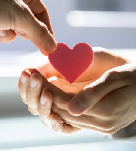 Why register Section 8 company in Bangalore - Prashasthi Guide